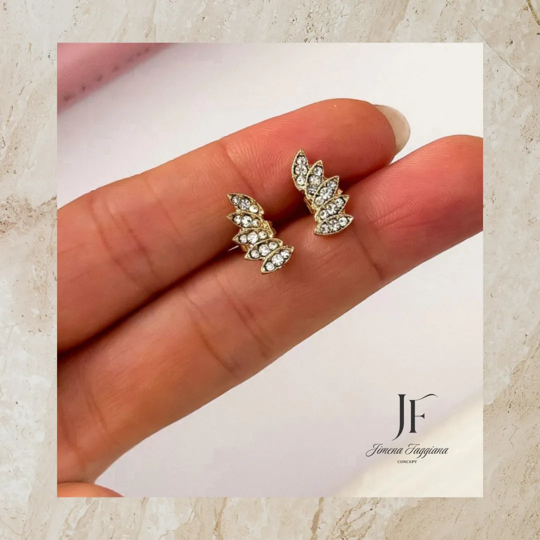 Aros alitas - Jimena Faggiana Concept